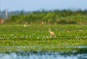 YSG_3636
