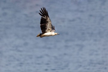 YSG_0427