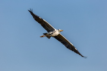 YSG_5801