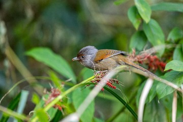YSG_6443