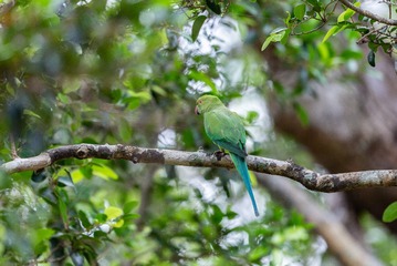 YSG_9806