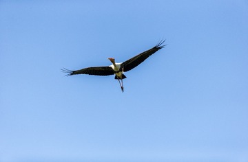 YSG_8650
