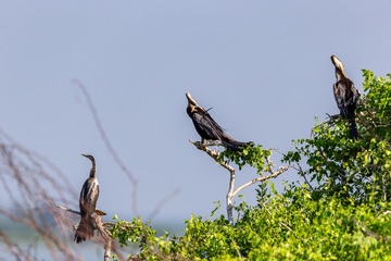 YSG_5949