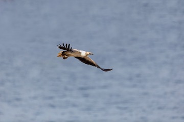 YSG_0420