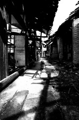 IMGP6628-1