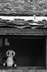 IMGP7094-1