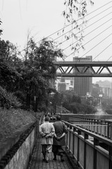 IMGP9022-1
