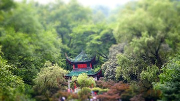 DSC00544(1)