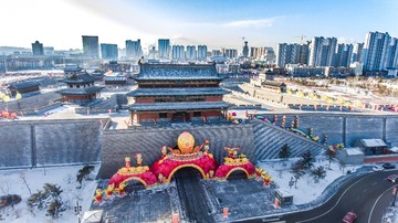 20170119-DJI_0024