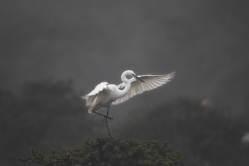 IMG_1600_