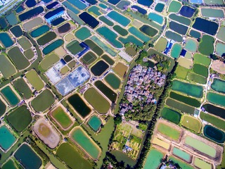 DJI_0080_