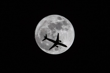 IMG_0443_
