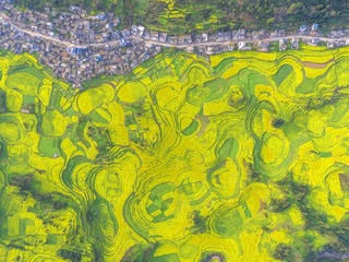 DJI_0134