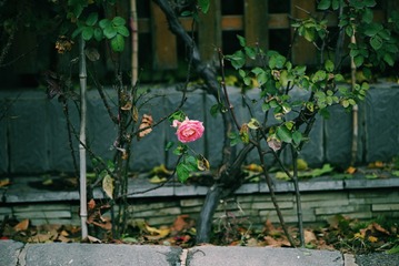 2015-11-26 02.29.56 1