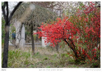 _DSC9809