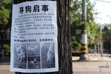 L1003181