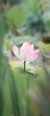 未标题1