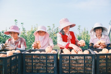 166442