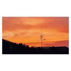 5F2C7E03-0050-44DA-B120-498C0E8166DC/L0/001