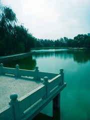 IMG_20140930_221018