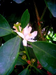 IMG_20151221_100545