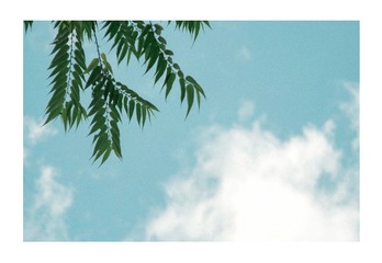 20170513_3