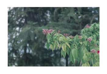 20170513_7