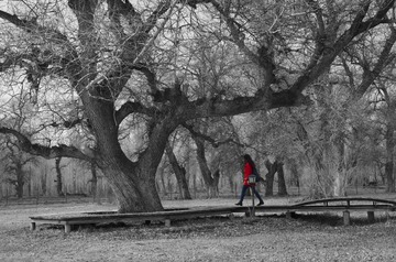 DSC_7819 - 