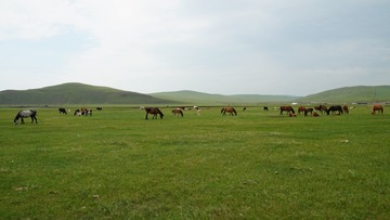 85C4F659-CD94-48D9-8146-C2964B91E026/L0/001