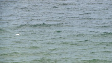 B5889657-4A42-4B61-B3CB-325494E1088B/L0/001
