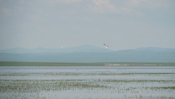 82D6750F-88E2-43A8-A558-92B6D5D57A70/L0/001