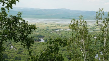 AA60E966-22D1-4071-A0B1-1AF8AA8DF0F5/L0/001