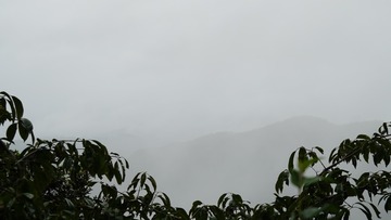 83574523-6DE8-4F06-B80E-82422FBC3381/L0/001
