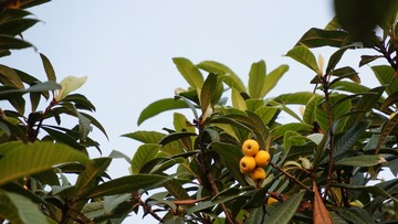 80FC2F06-2C7B-438B-BC0F-7BDEA05BA025/L0/001