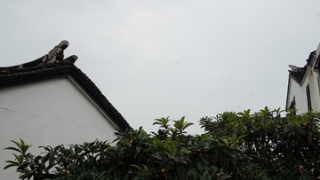 23F9CC91-BCDB-4A97-BB46-20550E8D86CB/L0/001