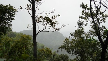 DA34F50C-73E5-4820-98FC-53C65B9D3F59/L0/001