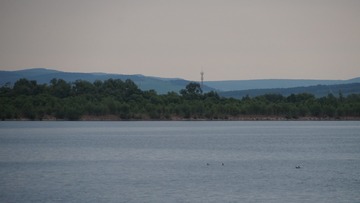 0E291412-CAEF-4DBE-8D08-90726B060628/L0/001