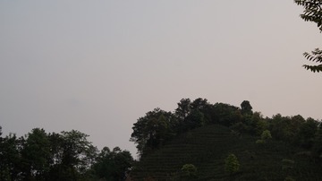 4742F50F-04EE-4CA4-9169-BA6265CC51EA/L0/001