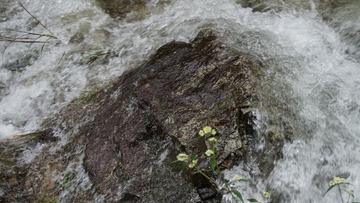 0F10C923-B665-4565-81E7-3D78B609D5FA/L0/001