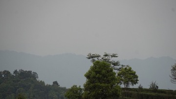 19CD5FFE-D5BF-41AD-BFC3-61F431F8221D/L0/001