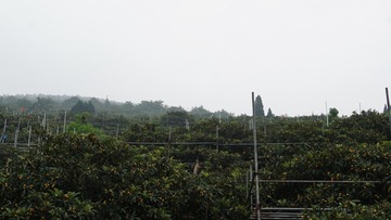 EF26CA20-EC0D-4048-94CA-8F523804A72D/L0/001