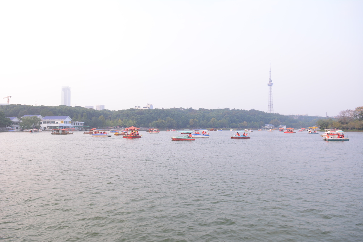 太仓新浏河水文资料,浏河镇隶属太仓市管辖