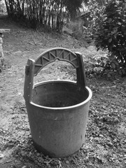 IMG_20160204_120638