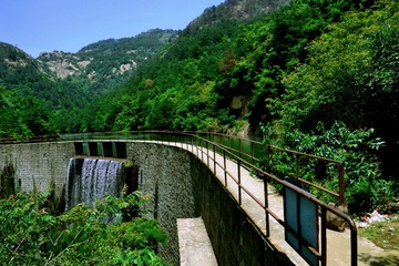 DSC_0929 - 