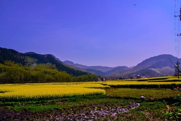 家乡风光 095
