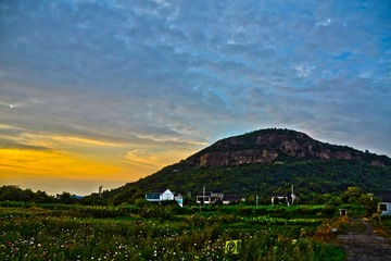 “_DSC0384”为智能对象-1