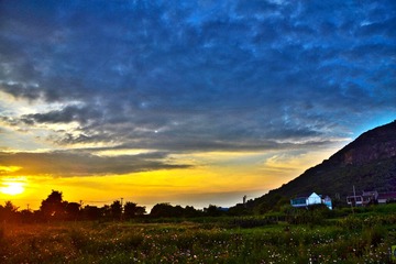 “_DSC0388”为智能对象