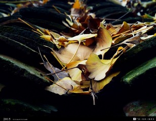 P1070300