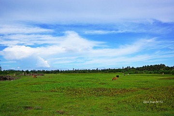DSC02227_meitu_1