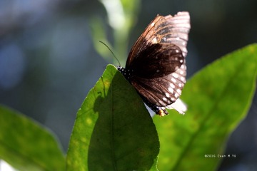 SAM_0635